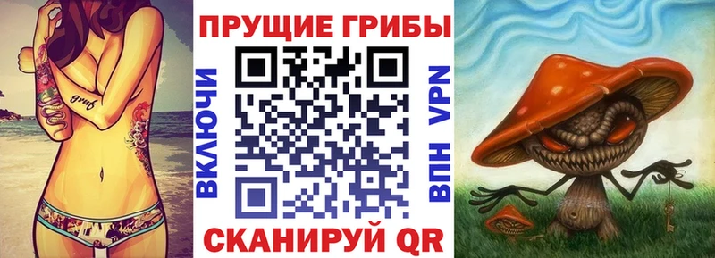 Псилоцибиновые грибы Psilocybe  мега зеркало  Рязань 