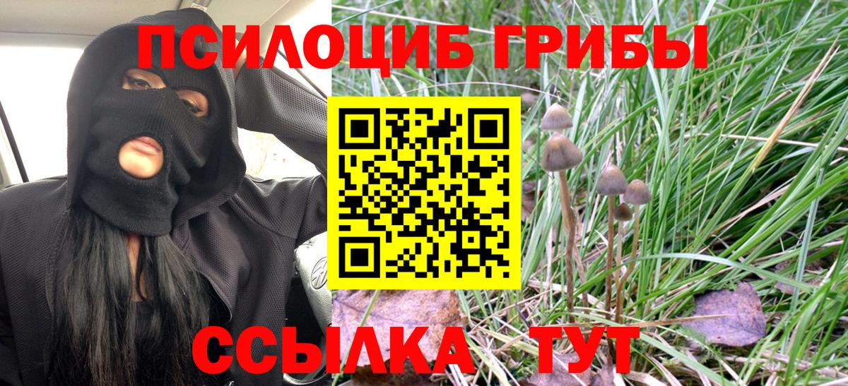 Псилоцибиновые грибы ЛСД  Вход с VPN  Рязань 