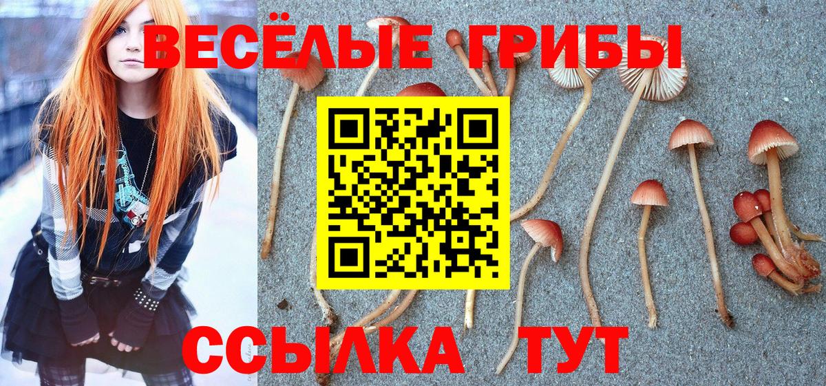 Галлюциногенные грибы мухоморы Рязань